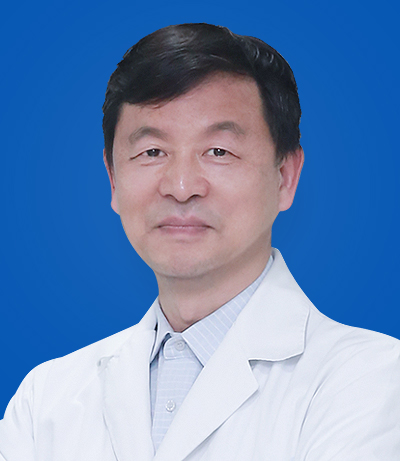 陈文文